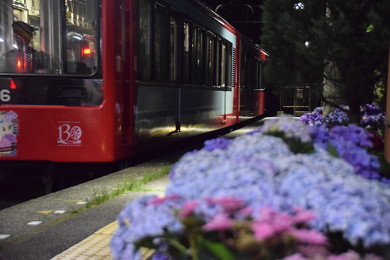 箱根登山鉄道 あじさい電車