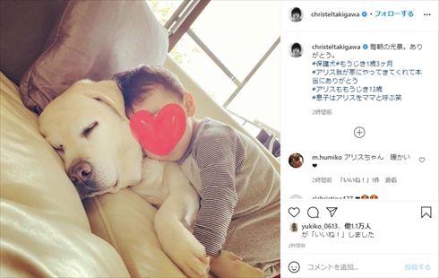 滝川クリステル 息子 アリス 保護犬 愛犬 小泉進次郎 インスタ