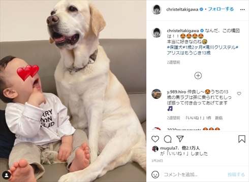 滝川クリステル 息子 アリス 保護犬 愛犬 小泉進次郎 インスタ