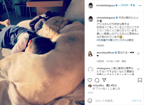 滝川クリステル 息子 アリス 保護犬 愛犬 小泉進次郎 インスタ