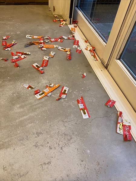 ハウスから出てこないワンちゃん