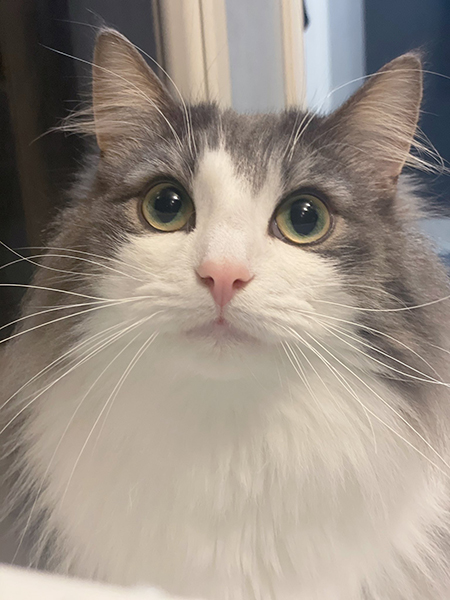 呼ばれた時の直哉くん