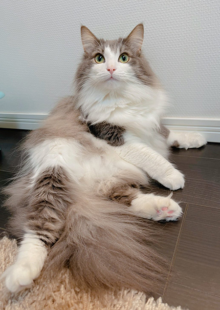 呼ばれた時の直哉くん