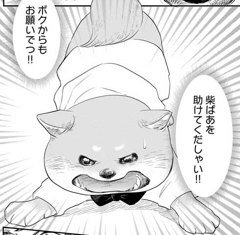 柴ばあと豆柴太 3巻 漫画 単行本 柴犬 震災 東北 11話