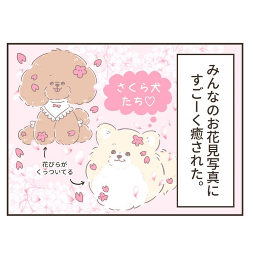 花びらを吸収するししまるくん