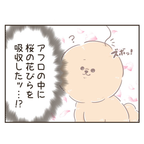 花びらを吸収するししまるくん