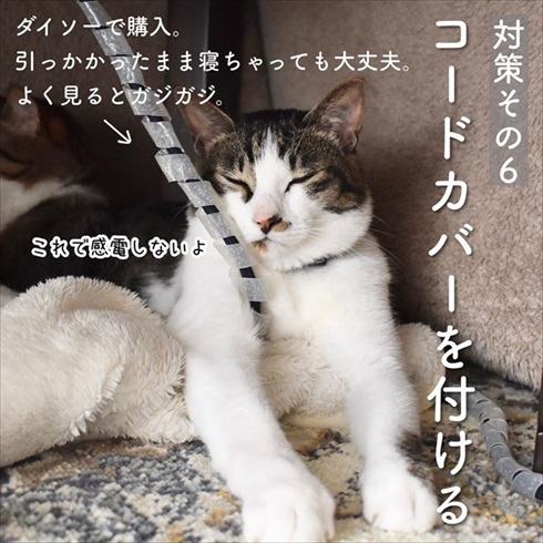 猫イタズラ対策