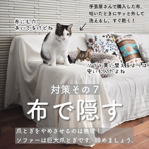 猫イタズラ対策