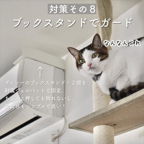 猫イタズラ対策