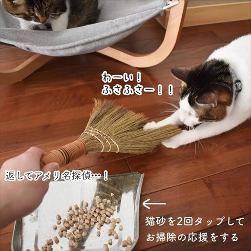 猫イタズラ対策
