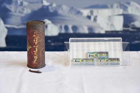 コカ・コーラ ロッテ