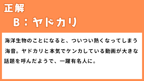 恋はDeepに 石原さとみ 綾野剛 新ドラマ 恋愛
