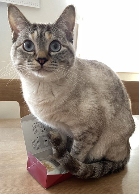 それは無理でしょうアップ