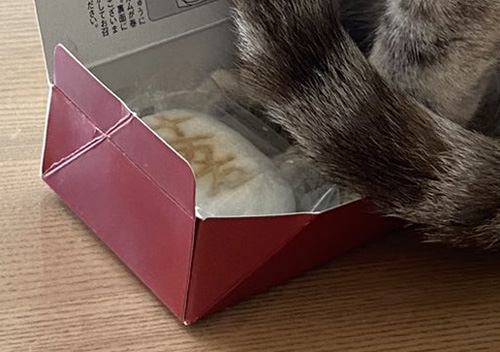 まんじゅうアップ