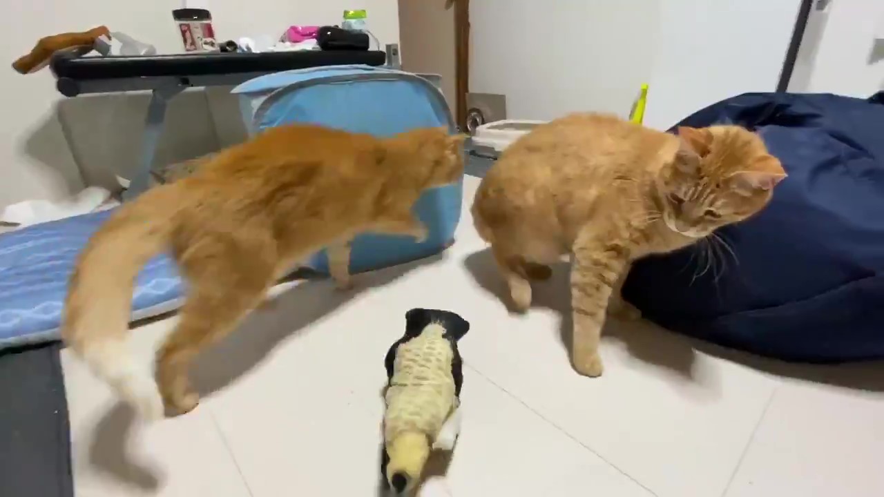 逃げるねこ Amazon | 【2025新登場 】猫よけ対策 超音波 Lupsty ねこよけ