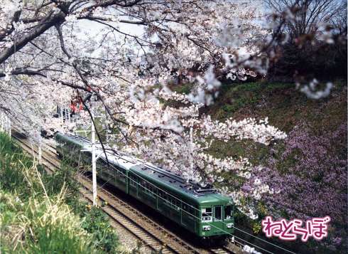 完乗 全線完乗 全線踏破