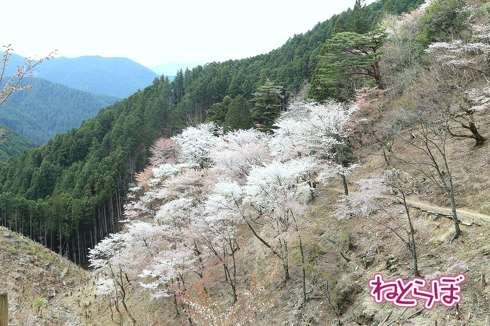 完乗 全線完乗 全線踏破
