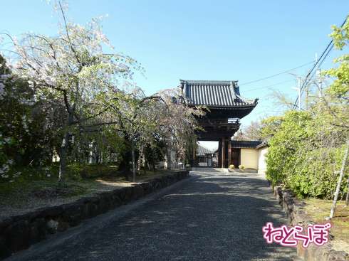 完乗 全線完乗 全線踏破