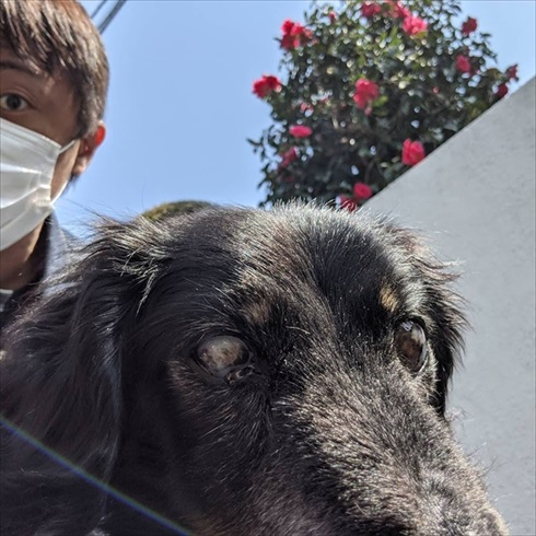 保護犬マルクくんを引き取った話