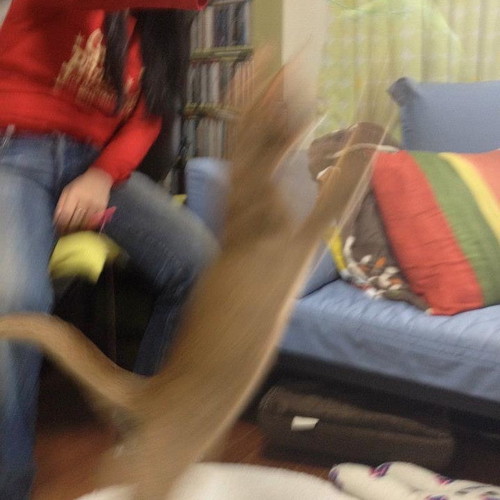 「幻影かもしれない」