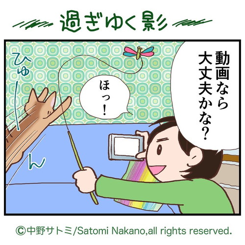 「過ぎゆく影」