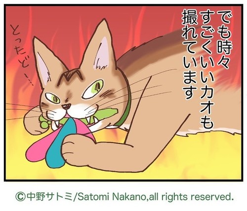 「過ぎゆく影」