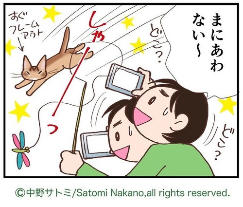 「幻影かもしれない」