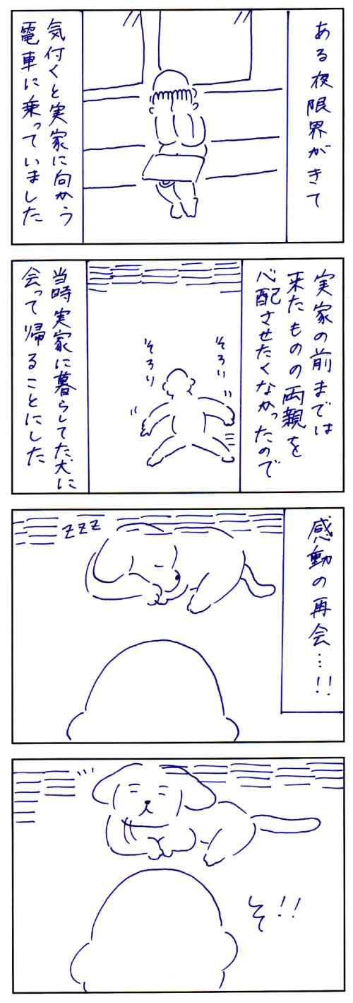犬との思い出
