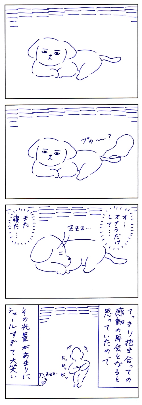 犬との思い出