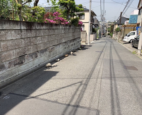 疲れ 見間違い 寿司