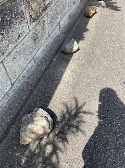 疲れ 見間違い 寿司