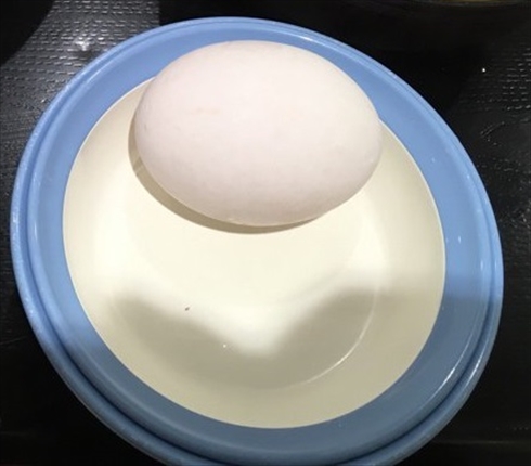 疲れ 見間違い 寿司