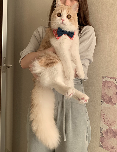 抱っここなつくん目線逸らし