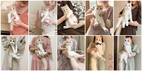 こなつくんの成長まとめ