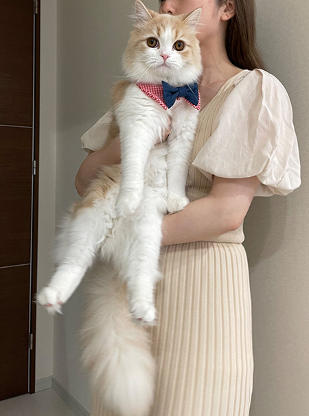 9カ月こなつくん正面