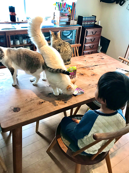 おやつチェックをするいなりくん