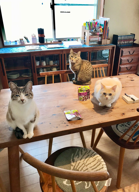 ご飯が欲しい圧