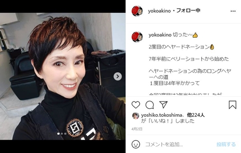 秋野暢子 愛犬 死 レイチェル 小夏 ペットロス