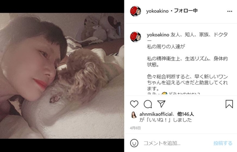 秋野暢子 愛犬 死 レイチェル 小夏 ペットロス