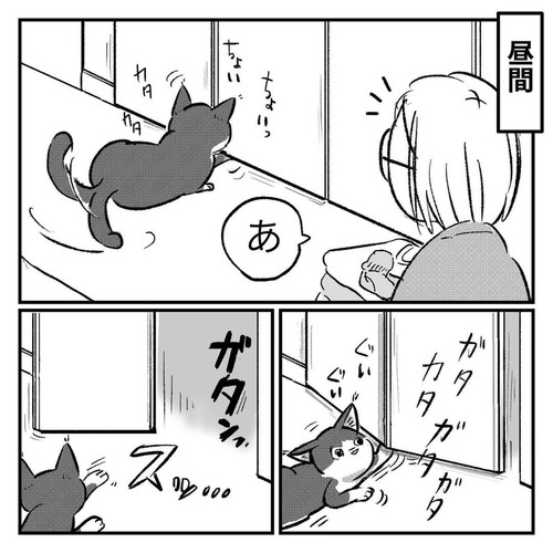 「新しい趣味を見つけたハコ」