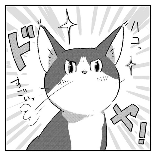 「新しい趣味を見つけたハコ」