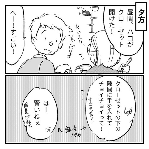 「新しい趣味を見つけたハコ」