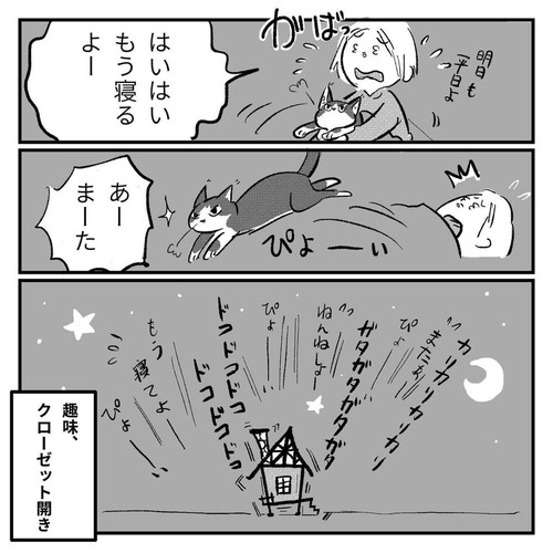 「新しい趣味を見つけたハコ」