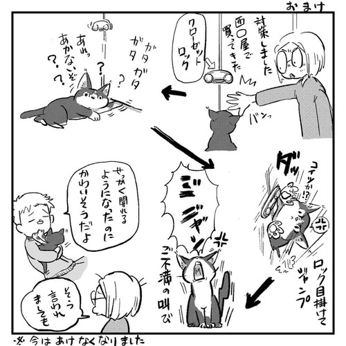 「新しい趣味を見つけたハコ」