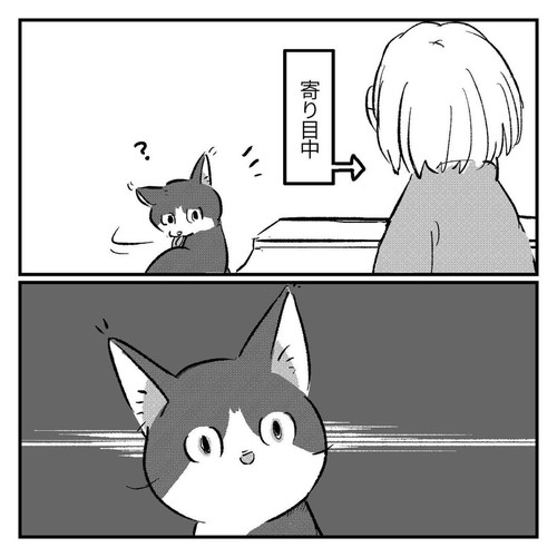 「知らない顔とハコ」