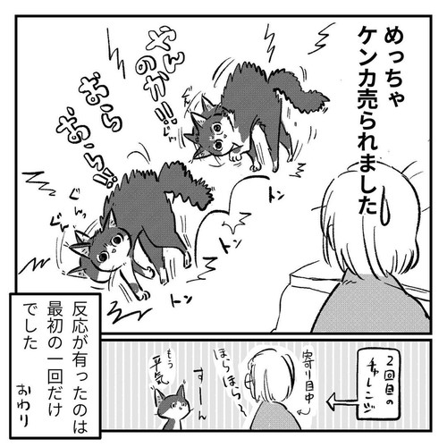 「知らない顔とハコ」