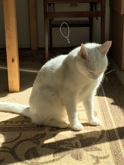 「わかりやすい男のガマン」