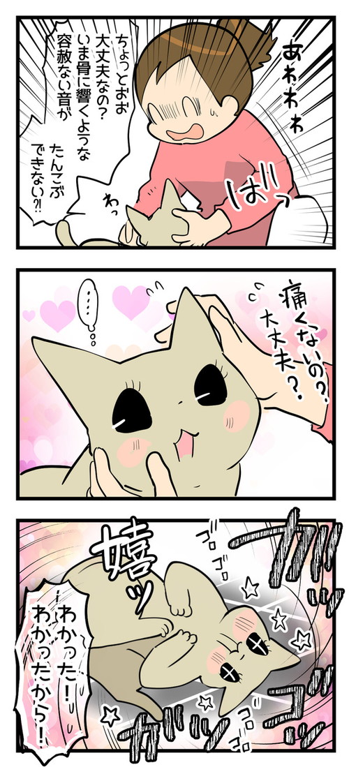 「だから玄関掃除は欠かせない」