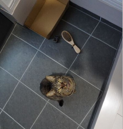 「だから玄関掃除は欠かせない」