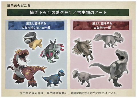 ポケモン化石博物館